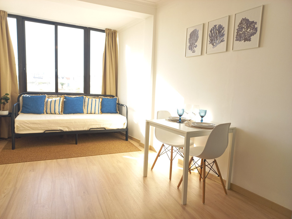 SilverCoast Studio preview