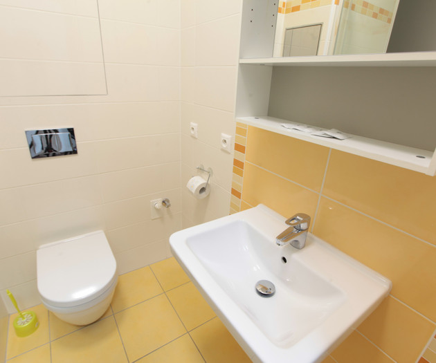 Apartment 1+kk, Prague - Vysočany, Freyova I.