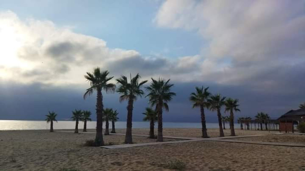 Image #12