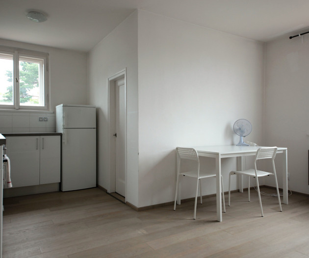 6 -Attic apartment in a villa w. garden, Vinohrady