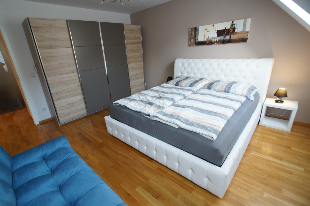 Deluxe Apartment with terassa