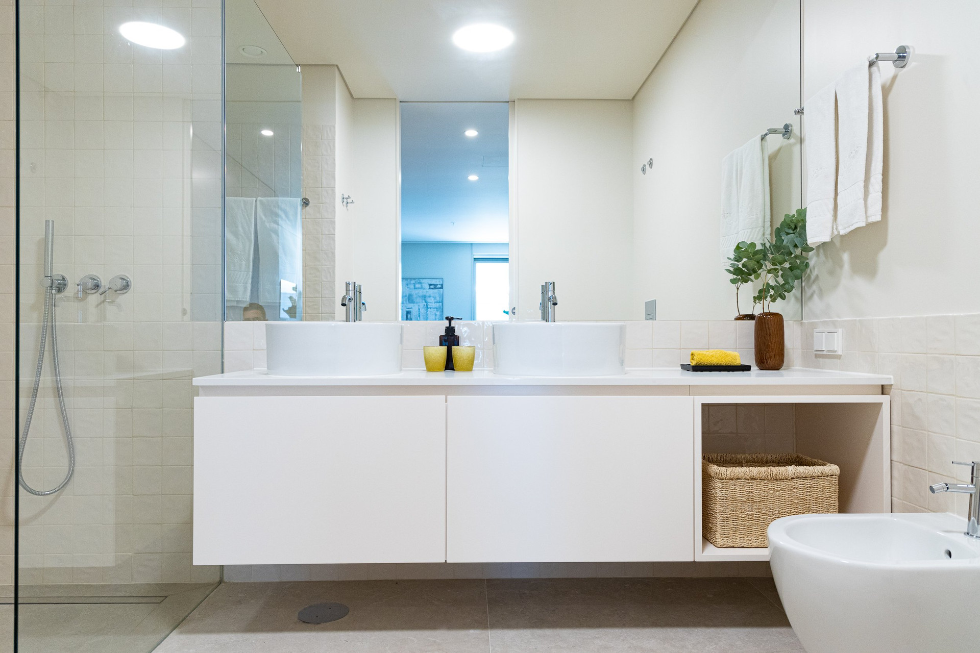 Bathroom double vanity and shower