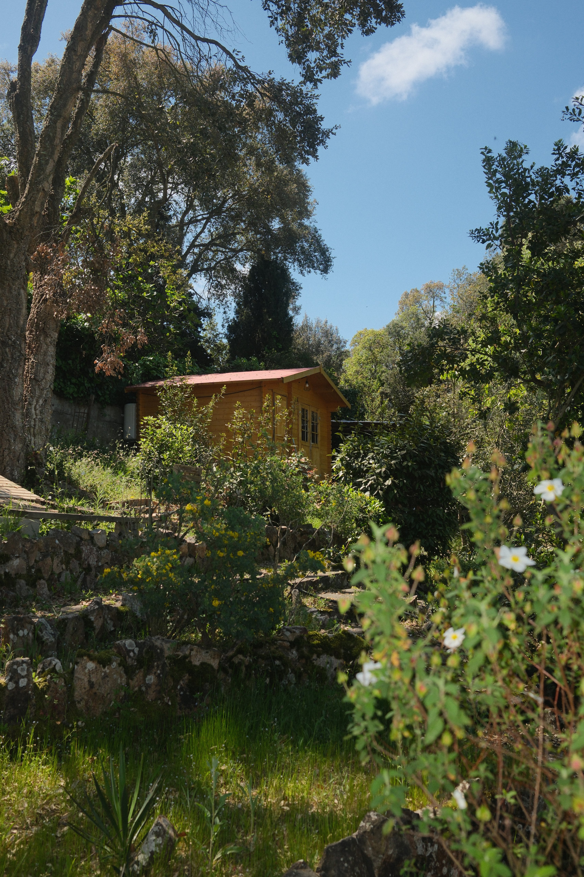 Wooden cabin exterior in garden