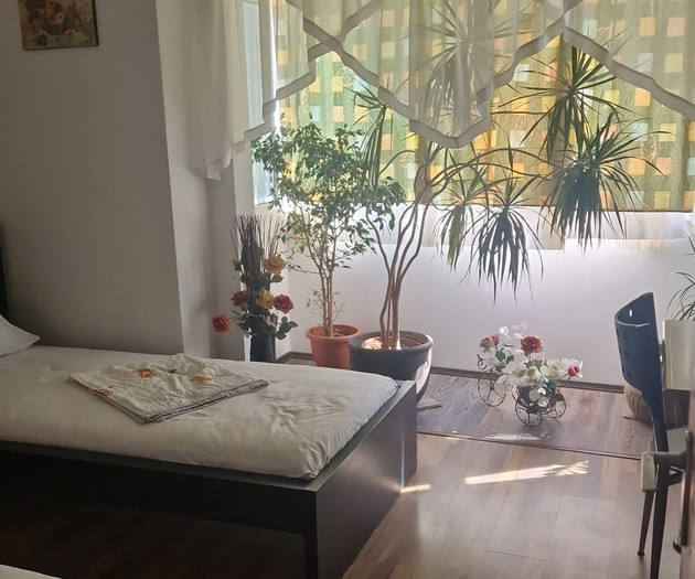 Large Group Accommodation Bucharest, 4 apt,20slips