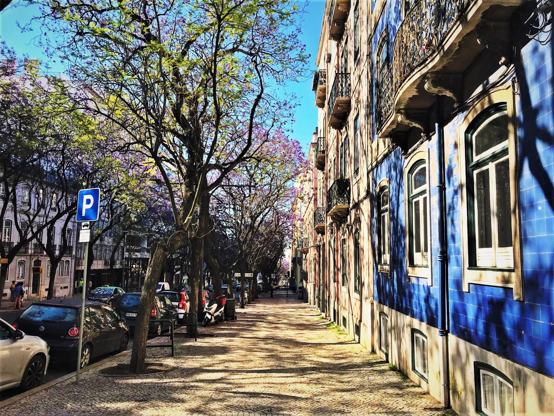 The street 