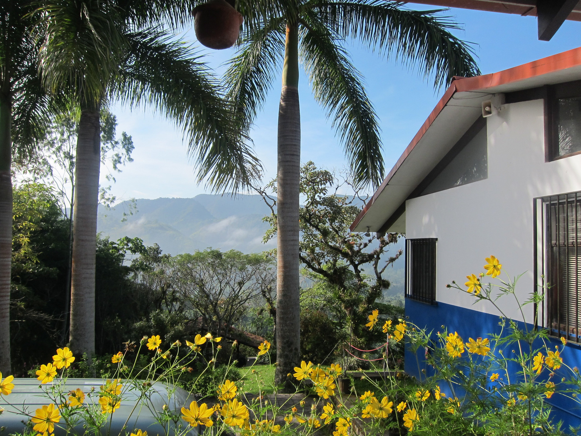 House exterior with yellow flowers