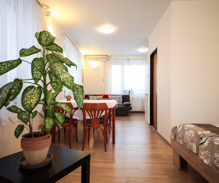 New apartment with terrace near the center, Prague