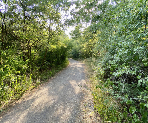 TOP location/ metro/ nature/ suitable for students