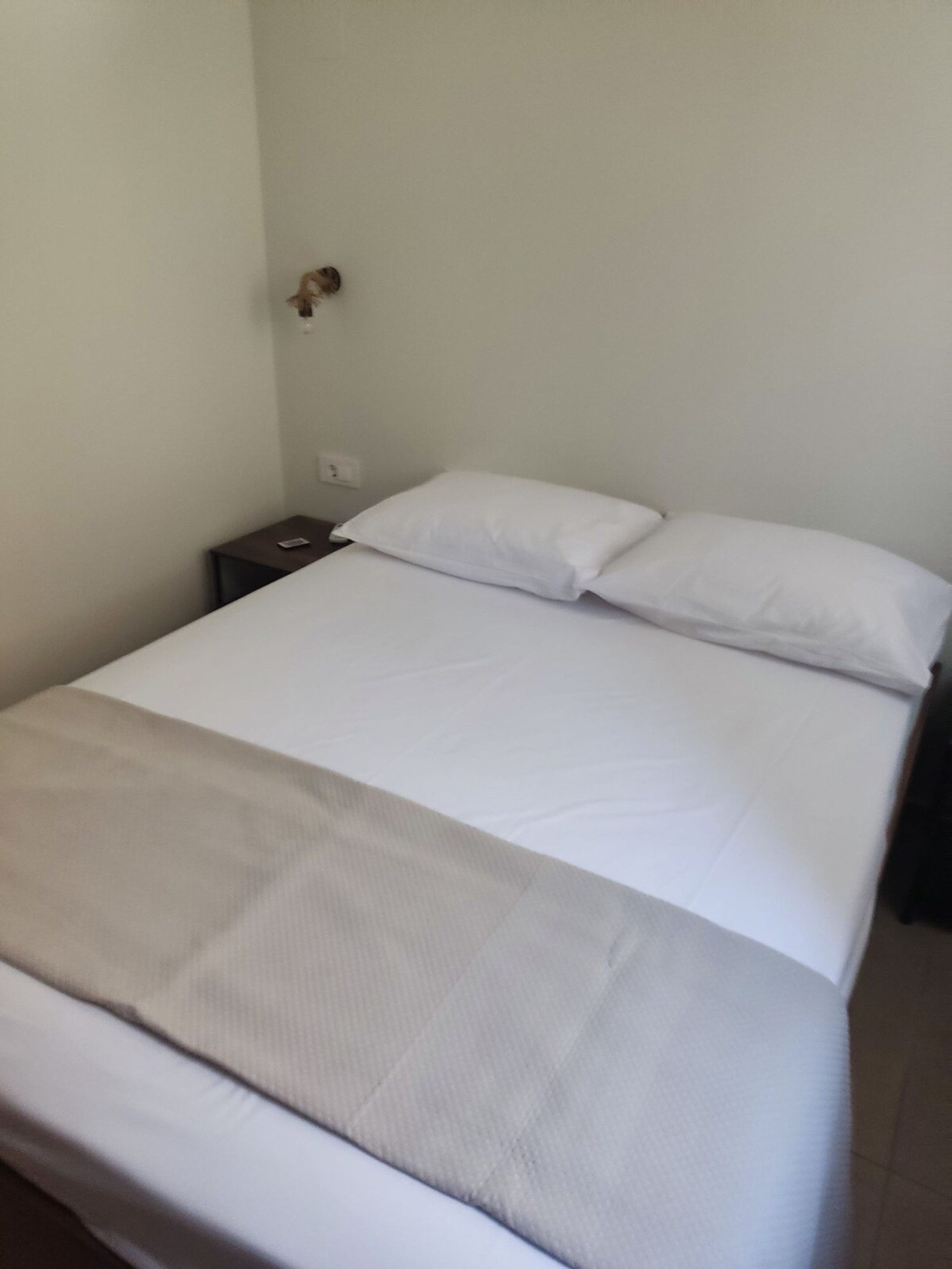Bedroom 1 image 2