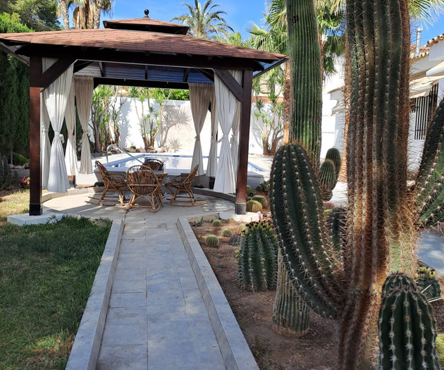 Cactus path leading to gazebo