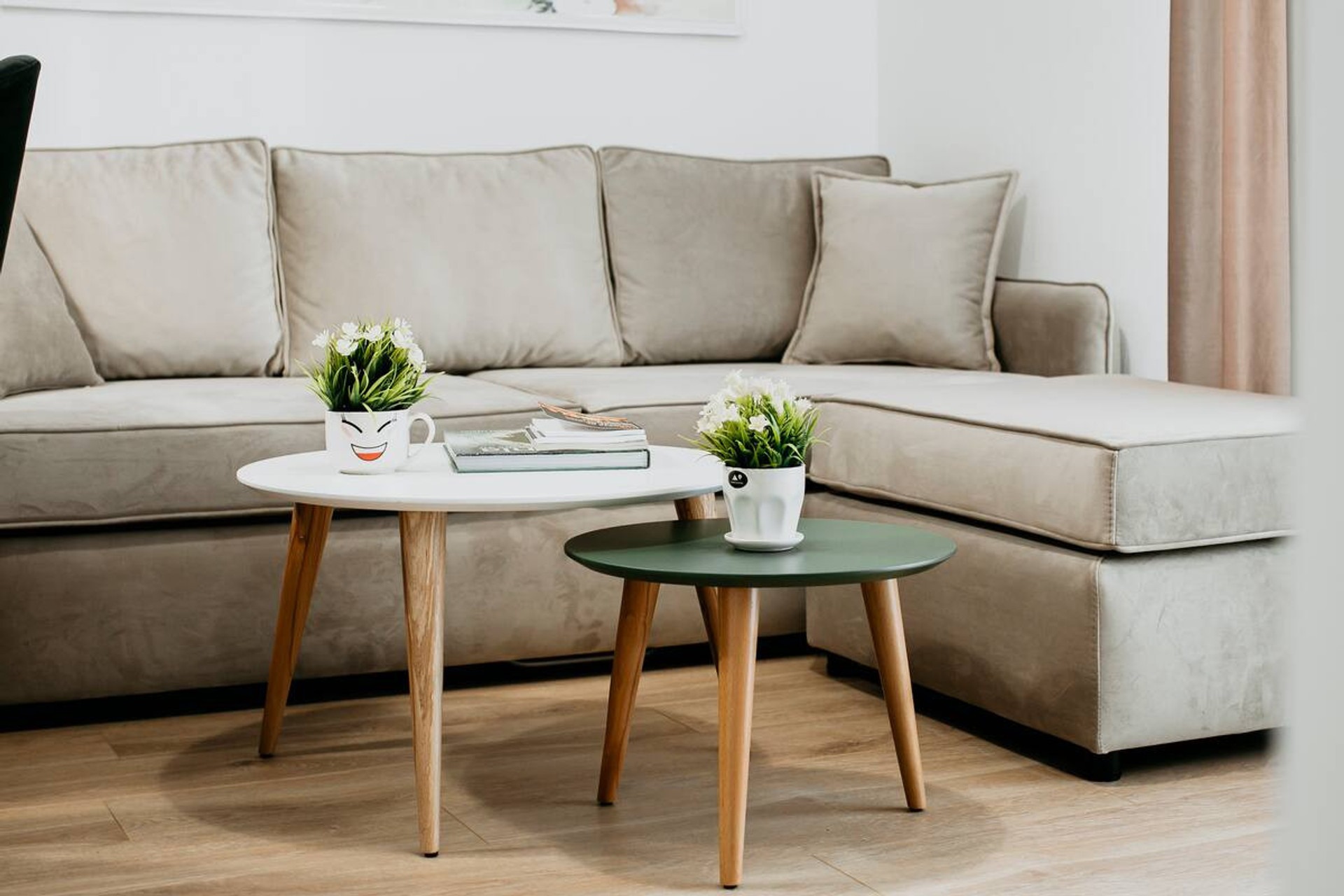 The sofa in the living room can be unfolded and transformed into a double bed.