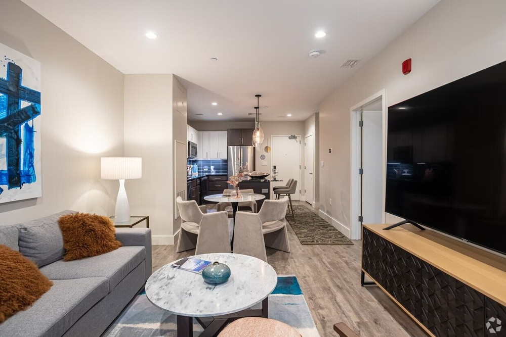 FURNISHED ONE BEDROOM APARTMENT preview