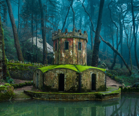 Rustic & Cozy room in the Woods (Sintra)