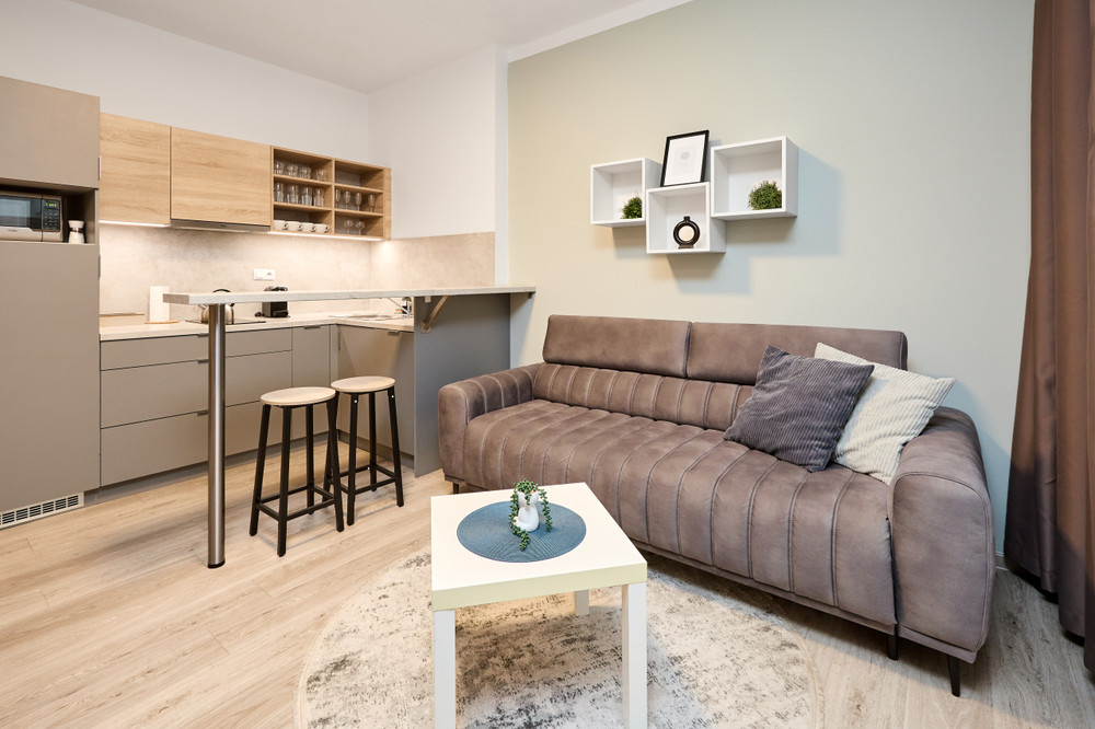 Honest SMICHOV - Cozy Studio in Basement preview