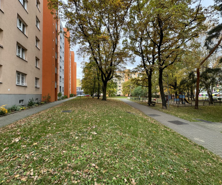 Newly renovated two-bedroom apartment