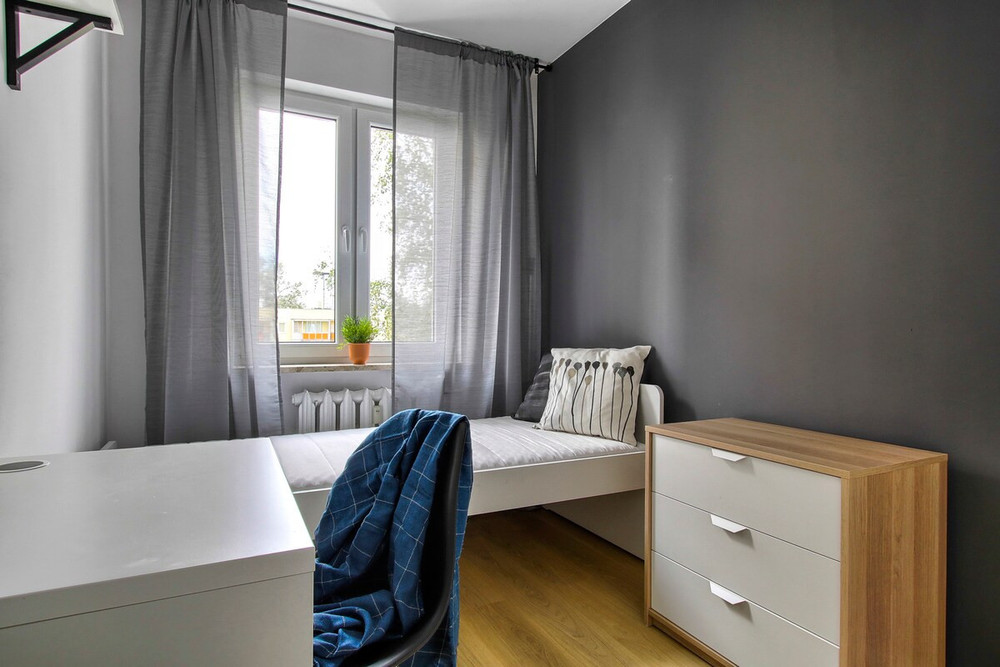 Cozy room for students preview