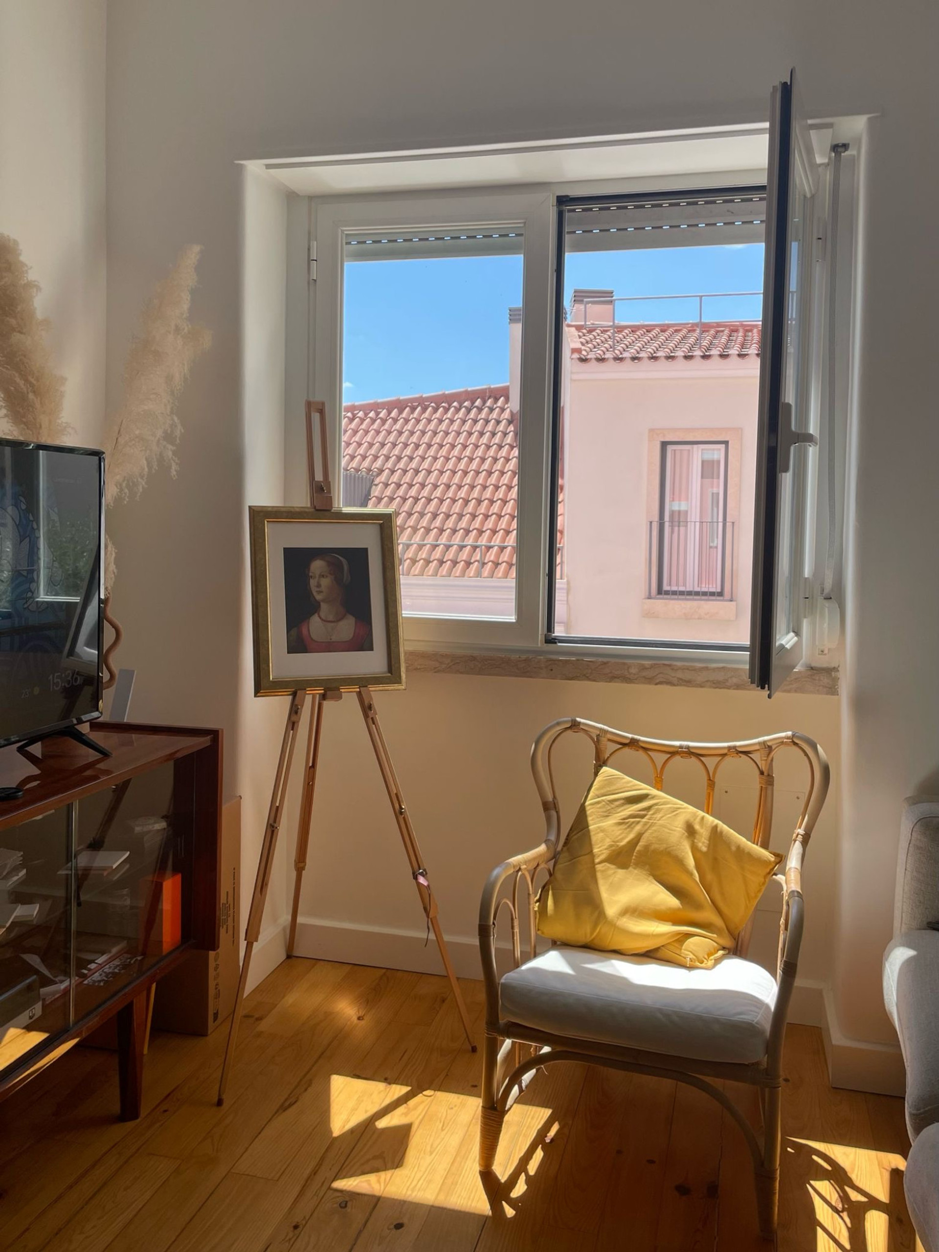 Living room + TV