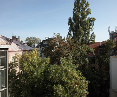 Cozy top floor studio near the center