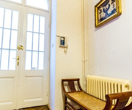 Palace apartment on Andrassy Avenue