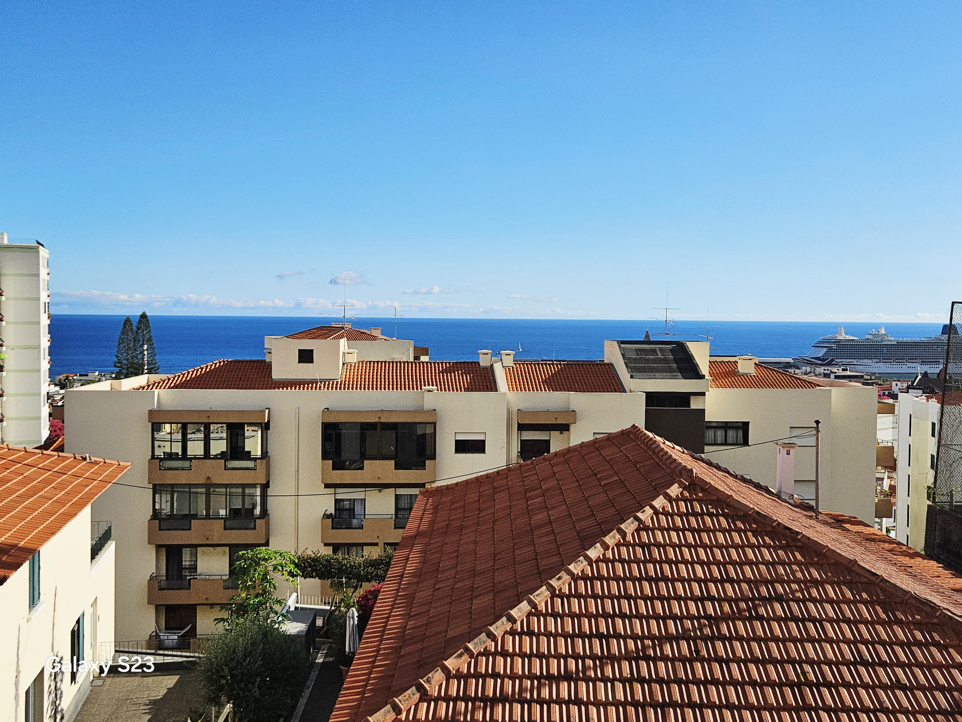 Views from windows 