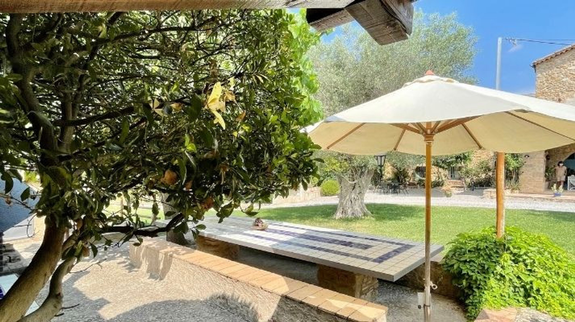 Barbacoa y jardín
