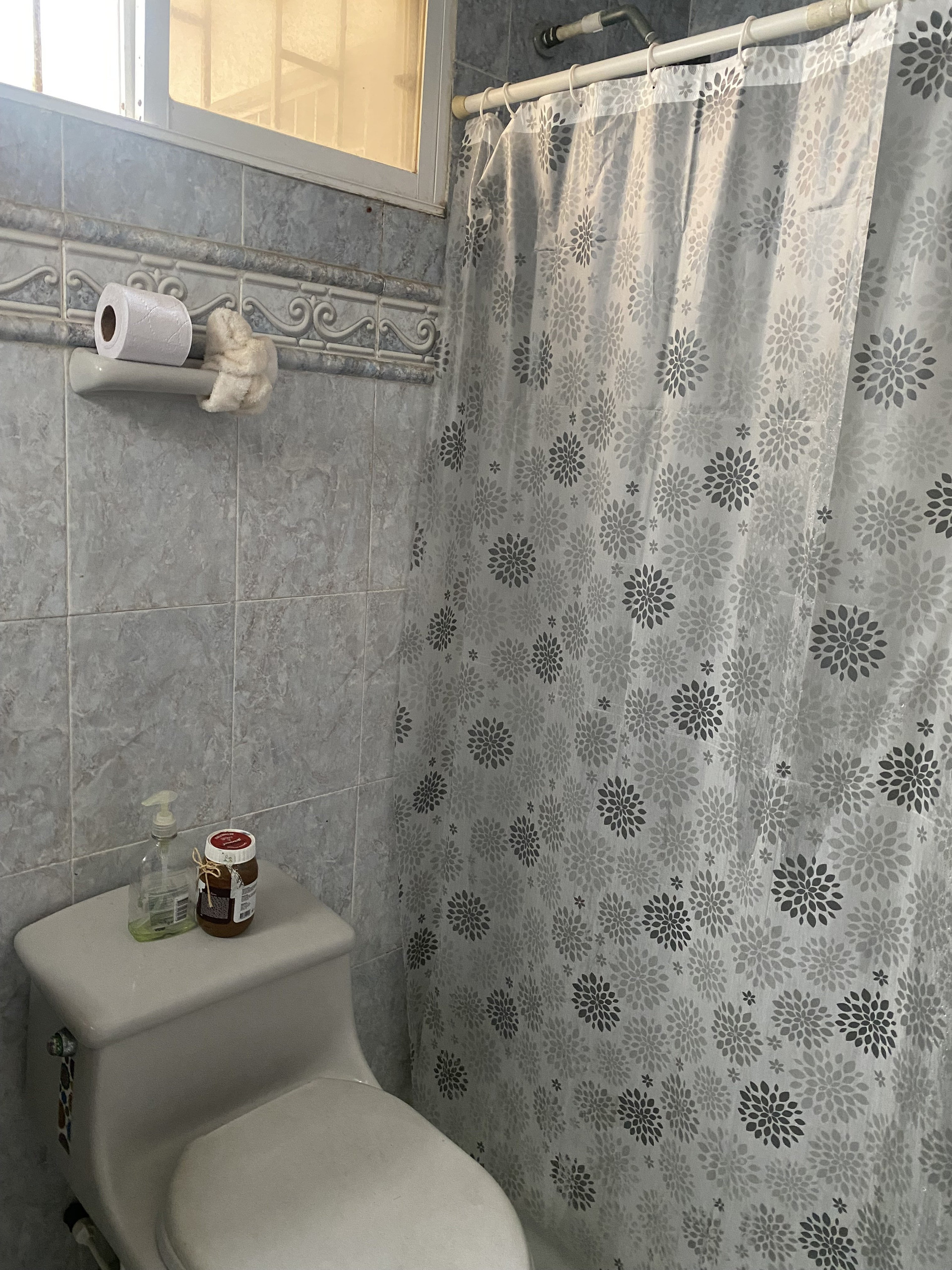 Bathroom toilet and shower curtain