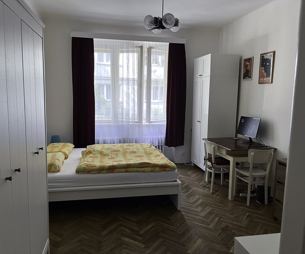 Cozy 1+1 apartment Vinohrady