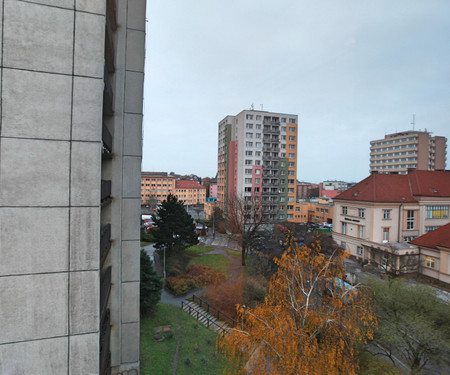 Bright modern two-room apartment at Žižkov