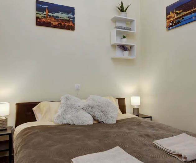 Large Luxury Apartment in the Heart of the City