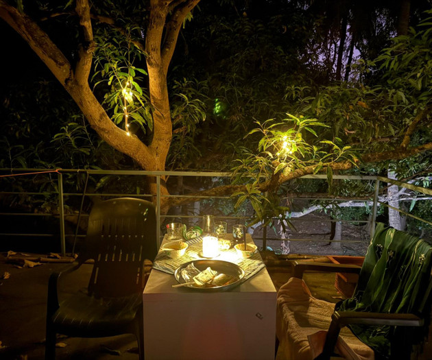Evening terrace dining under lit tree