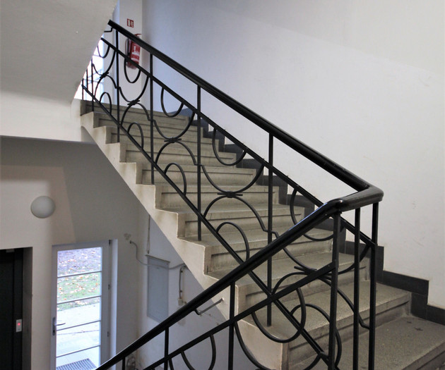 Renovated apartment 1+1 in Letná district