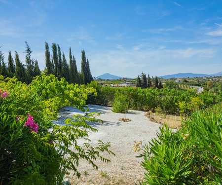 Cubo's Finca Tallulah