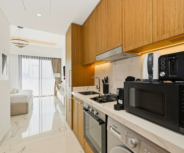 Luxurious studio in Dubai with gym and pool