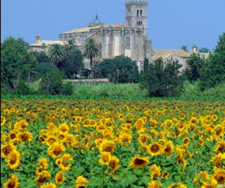 THE BLUE HOUSE OF THE COSTA BRAVA Arlet