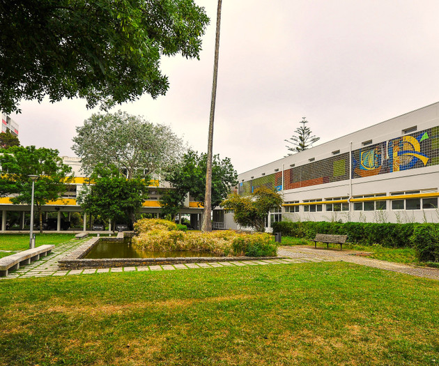 The Jungle House