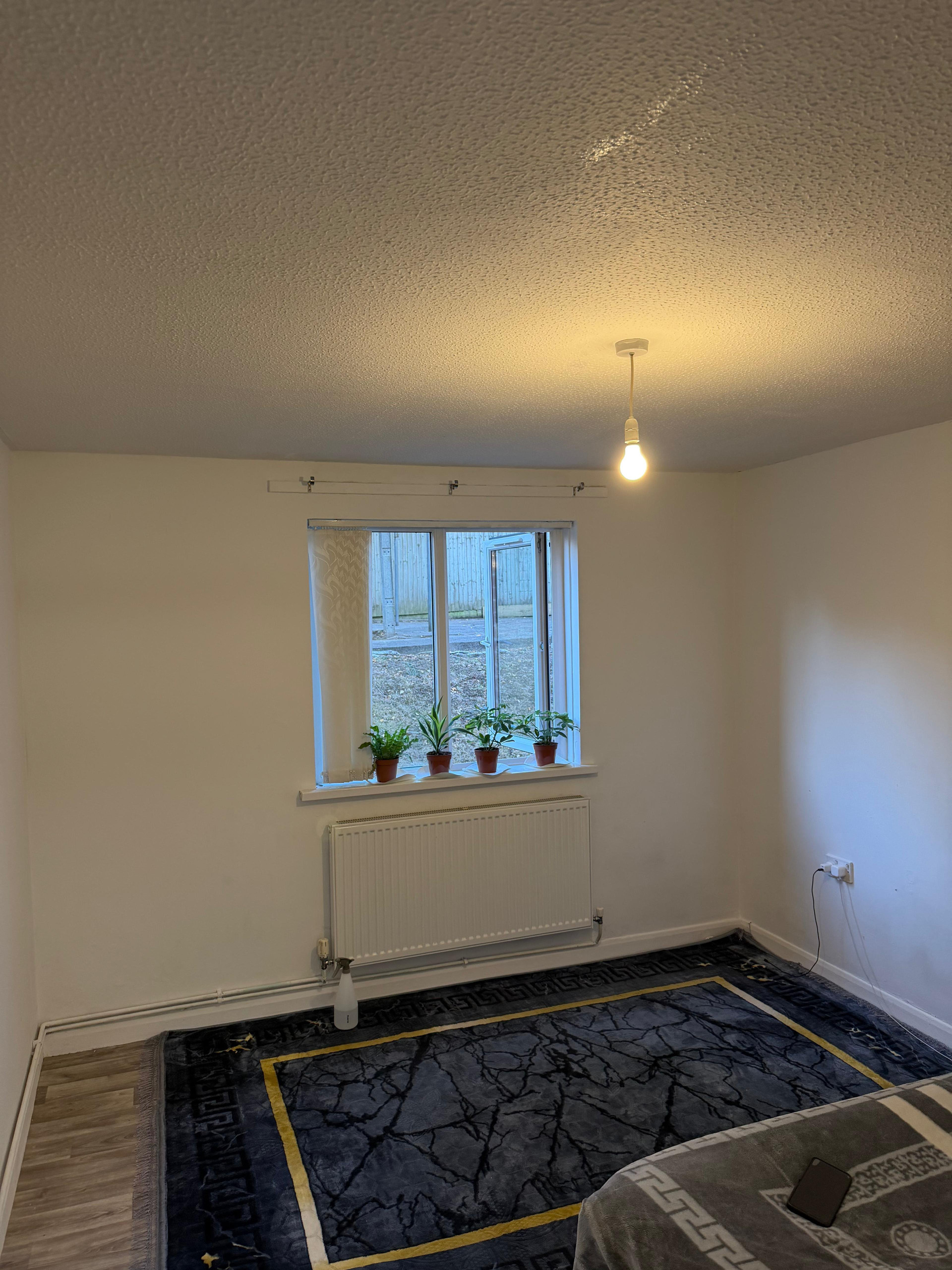 Bedroom with window and rug