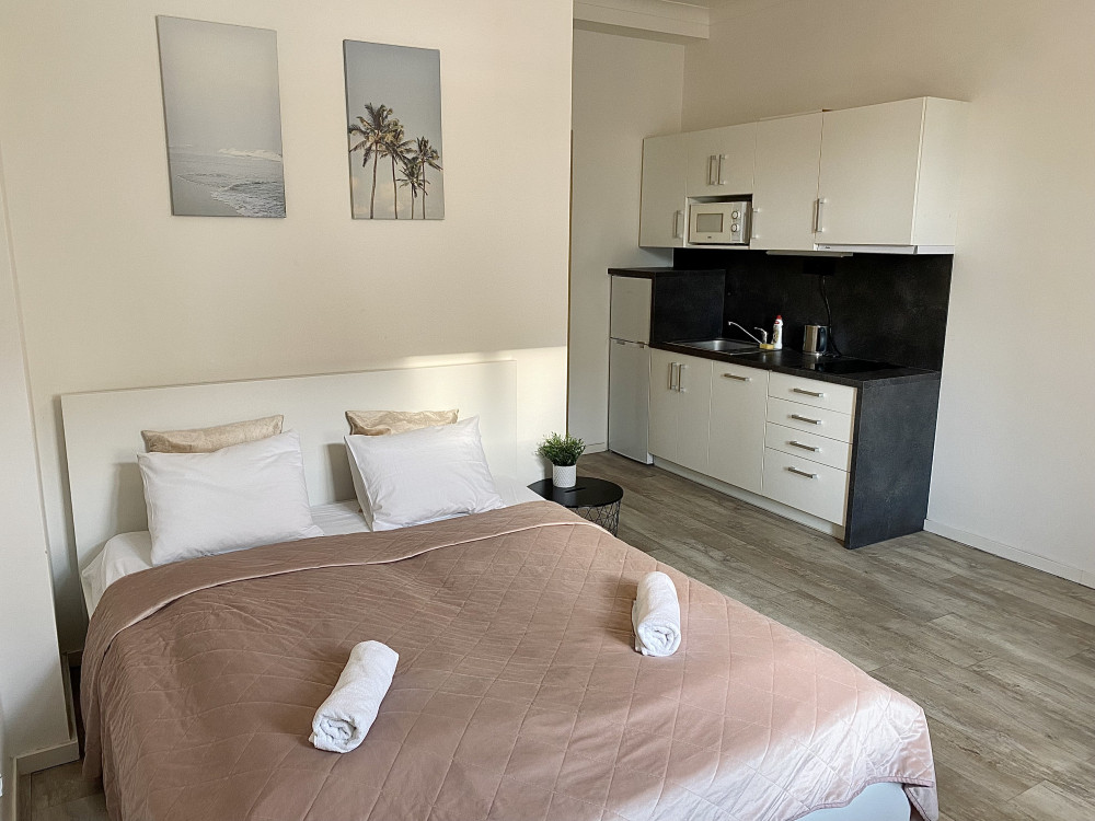 Parkside studio in Vinohrady preview