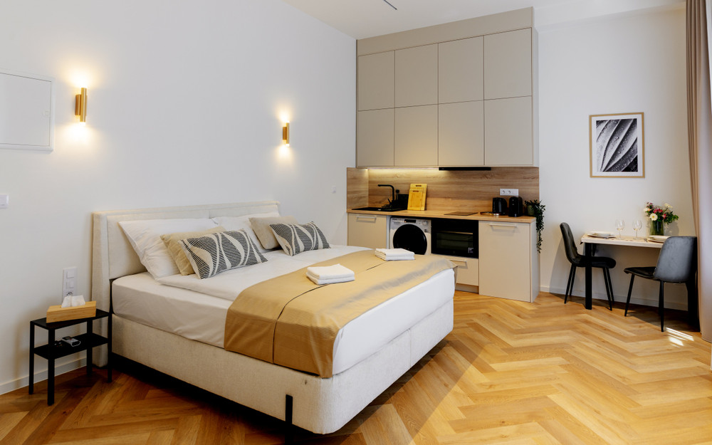 Sunny apt. 1+kk with high ceilings in the center preview