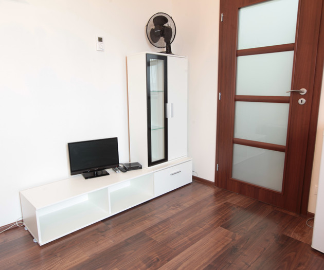 Apartment 1+kk, Prague - Vysočany, Freyova I.