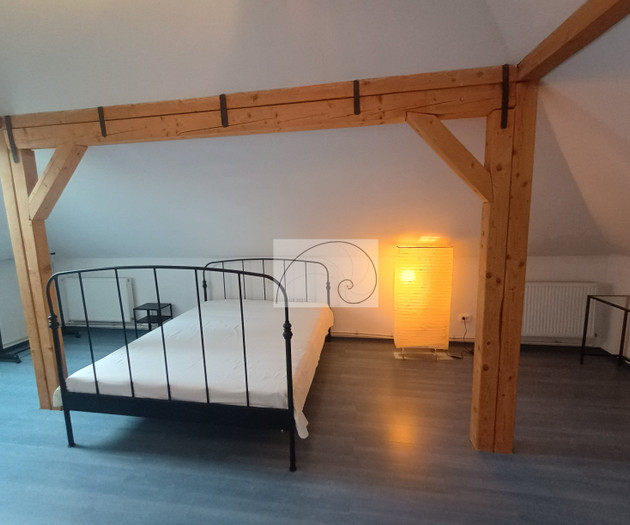 Elegant Duplex in Villa • Central Bucharest