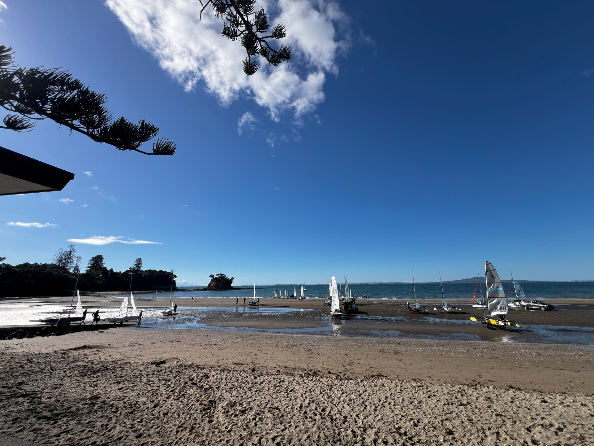 Waiake Beach