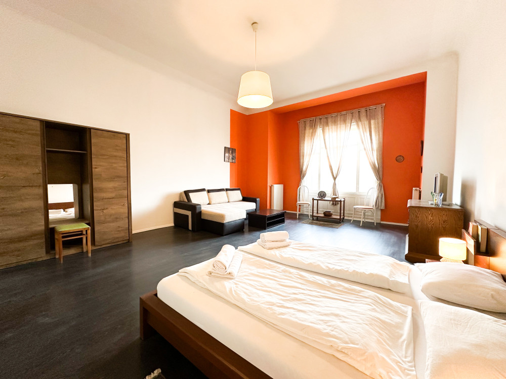 Spacious apartment in Budapest preview
