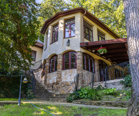 Forest villa in the Danube bend for a quiet relax
