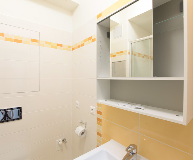 Apartment 1+kk, Prague - Vysočany, Freyova I.