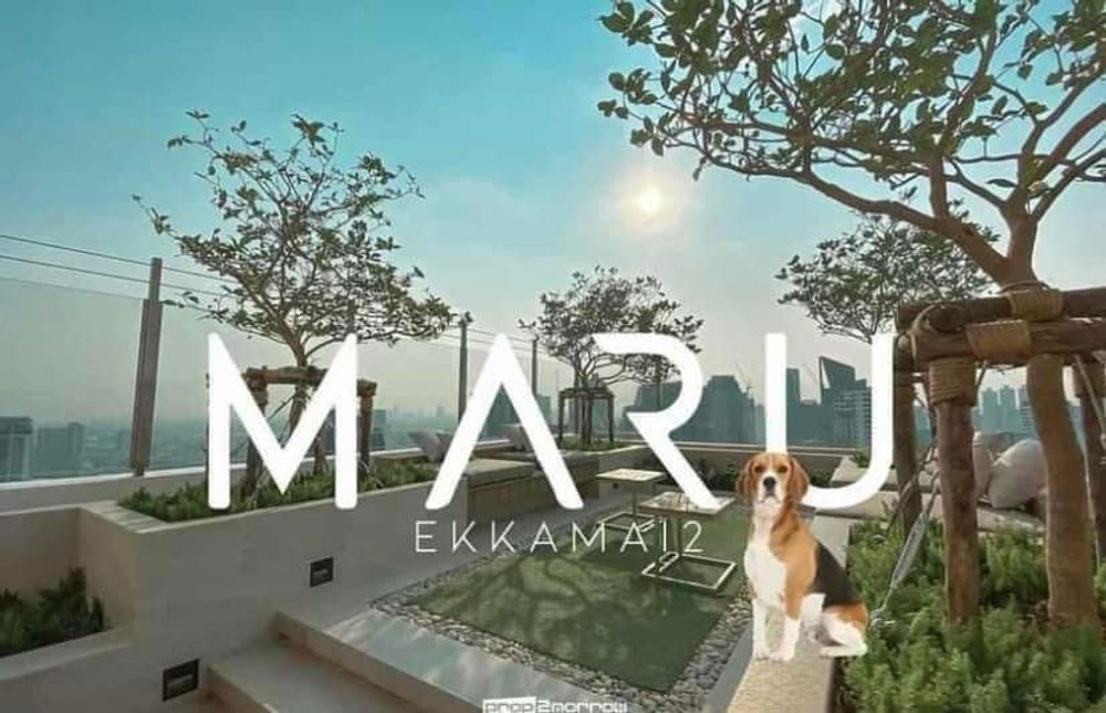 Maru Ekkamai 2 - Ekkamai BTS preview