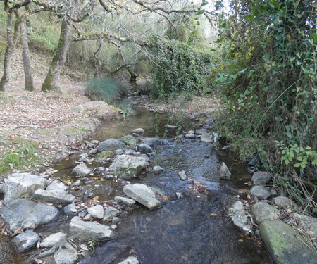 Country house 15 m from Sintra and the sea!