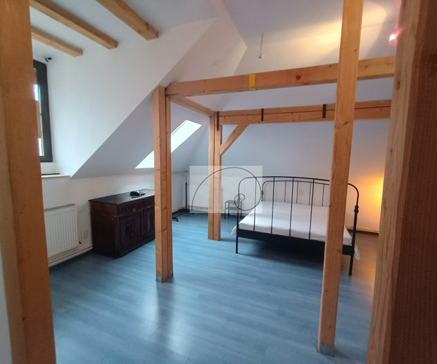 Elegant Duplex in Villa • Central Bucharest