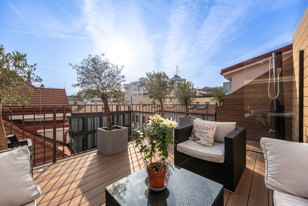 Penthouse with terrace in sunny Prague preview