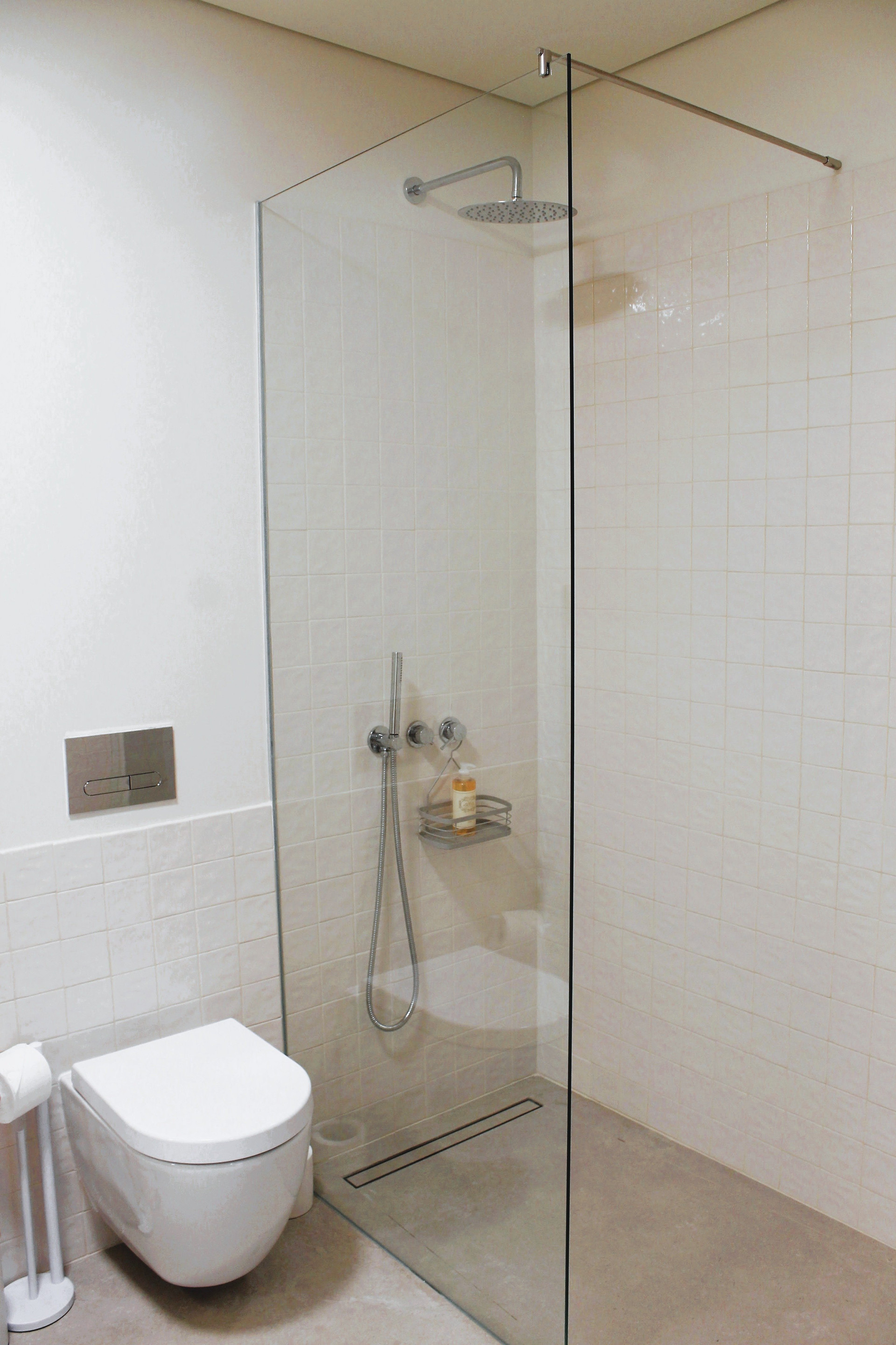 Walk-in shower and toilet