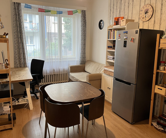 Cozy 1+1 apartment Vinohrady
